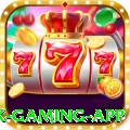 237n Max Gaming App