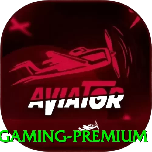 pgyes Gaming Premium - pak